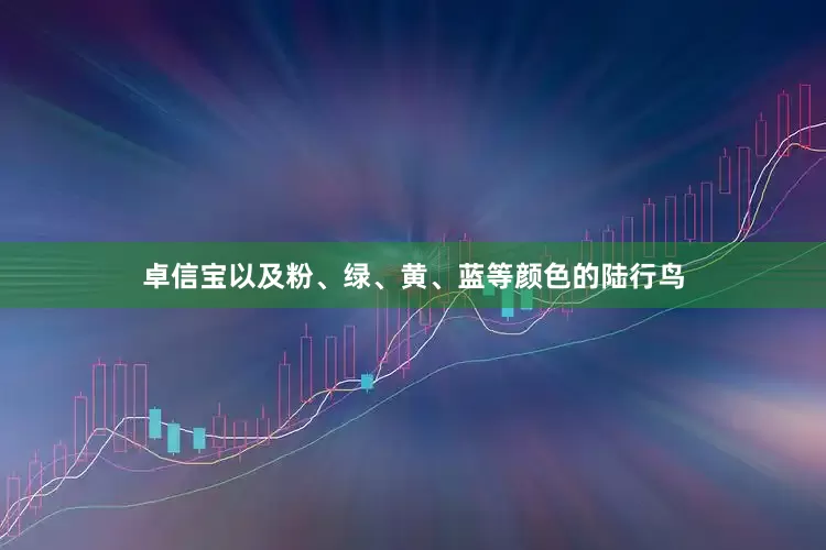 卓信宝以及粉、绿、黄、蓝等颜色的陆行鸟