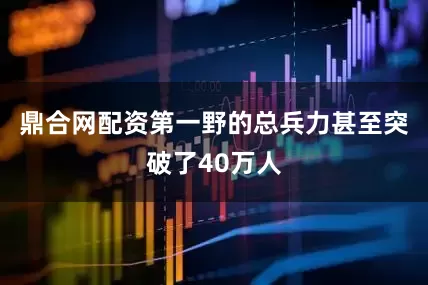 鼎合网配资第一野的总兵力甚至突破了40万人